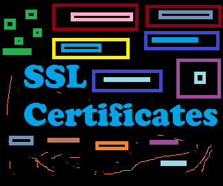 SSL is one of the components of a website.